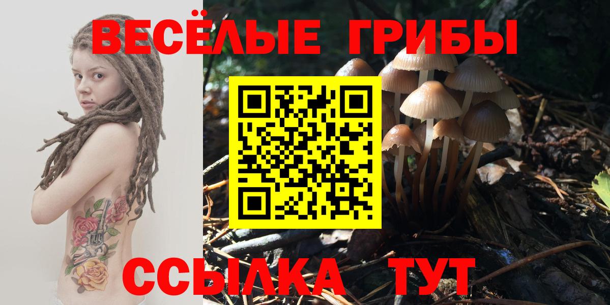 Alpha PVP СОЛЬ   Вход с VPN  Кострома  Гашиш  Меф МЯУ МЯУ кристаллы  МАРИХУАНА  Каннабис  COCAIN 