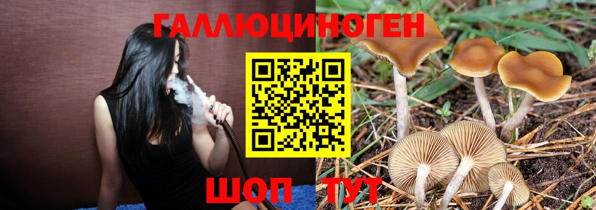 Кострома  Псилоцибиновые грибы MAGIC MUSHROOMS  Вход с VPN  Галлюциногенные грибы Magic Shrooms 